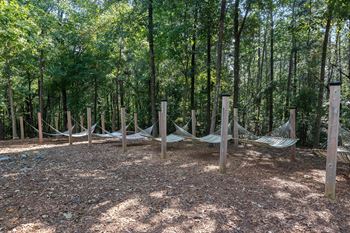 Hammocks